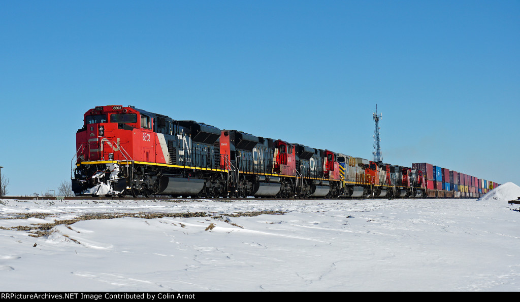 CN 8803